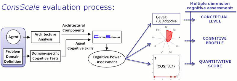 ConsScale Evaluation Process